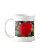 Floribunda 'Showbiz' White flowers Coffee Mug