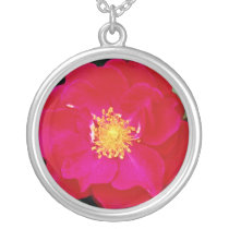 Floribunda 'Showbiz' White flowers Necklaces