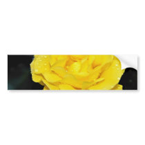 Floribunda White flowers Bumper Sticker