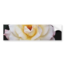 Floribunda White flowers Bumper Sticker