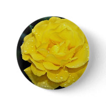 Floribunda White flowers Buttons