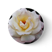 Floribunda White flowers Pins