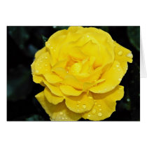 Floribunda White flowers Greeting Card