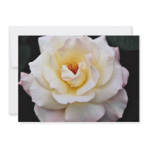 Floribunda White flowers Custom Invitation