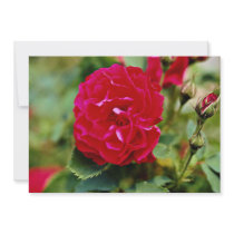 Floribunda White flowers Custom Invitation