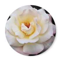 Floribunda White flowers Magnet