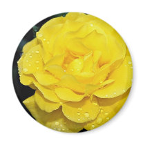 Floribunda White flowers Fridge Magnet