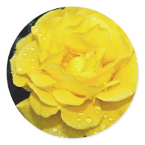 Floribunda White flowers Sticker