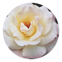 Floribunda White flowers Round Stickers