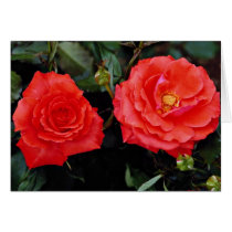 Floribunda Yellow flowers Greeting Card