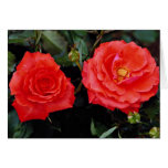 Floribunda Yellow flowers cards