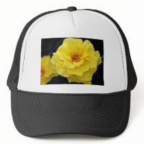 Floribunda, yellow White flowers Hats
