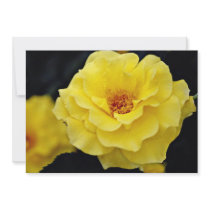 Floribunda, yellow White flowers Personalized Invites