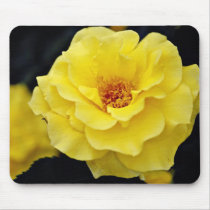 Floribunda, yellow White flowers Mousepad