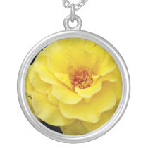 Floribunda, yellow White flowers Pendants