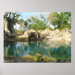 Florida , All right reserved - CalocSAY Posters