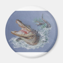 Florida Alligator Magnet