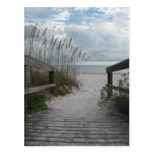 Florida Beach Path Post Card