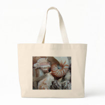 Florida Beach shells Tote Bag