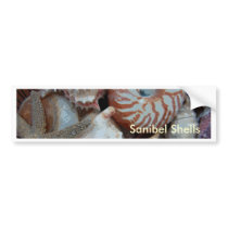 Florida Beach shells Bumper Stickers