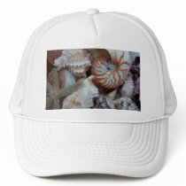 Florida Beach shells Mesh Hat