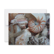 Florida Beach shells Personalized Announcements