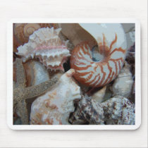 Florida Beach shells Mouse Pads