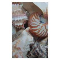 Florida Beach shells Custom Stationery