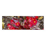 Florida Botanical Garden Bookmark Business Card Templates