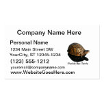 Florida Box turtle Photograph w Text Business Card