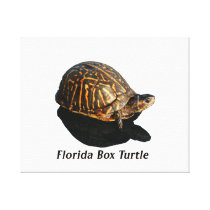 Florida Box turtle Photograph w Text Stretched Canvas Print