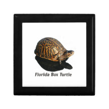 Florida Box turtle Photograph w Text Jewelry Boxes