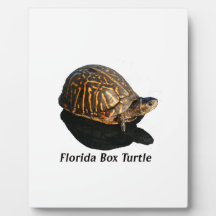 Florida Box turtle Photograph w Text Plaque