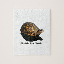 Florida Box turtle Photograph w Text Puzzles