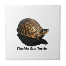 Florida Box turtle Photograph w Text Ceramic Tile