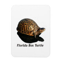 Florida Box turtle Photograph w Text Vinyl Magnet