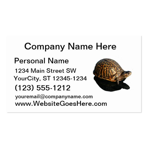 Florida Box turtle Photograph with Shadow Cutout Business Card