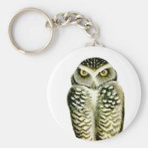 Florida Burrowing Owl Keychain