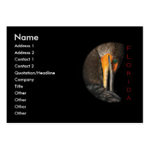 Florida Business Cards