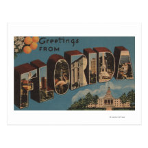 Florida (Capital Building) - Large Letter Postcards