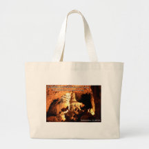 FLORIDA CAVERNS STATE PARK - Marianna, Florida Bag