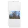 Florida Cypress winter scene swamp blue sky Rack Card