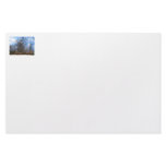 Florida Cypress winter scene swamp blue sky Stationery Design