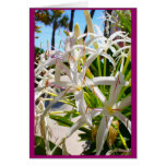 Florida exotic greeting cards