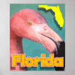 Florida flamingo poster