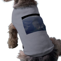 Florida from Space Dog Shirt