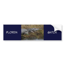 Florida Gator