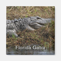 Florida Gator Fridge Magnets