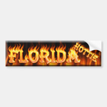 florida hottie bumper stickers