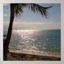 Florida Keys Beach Poster